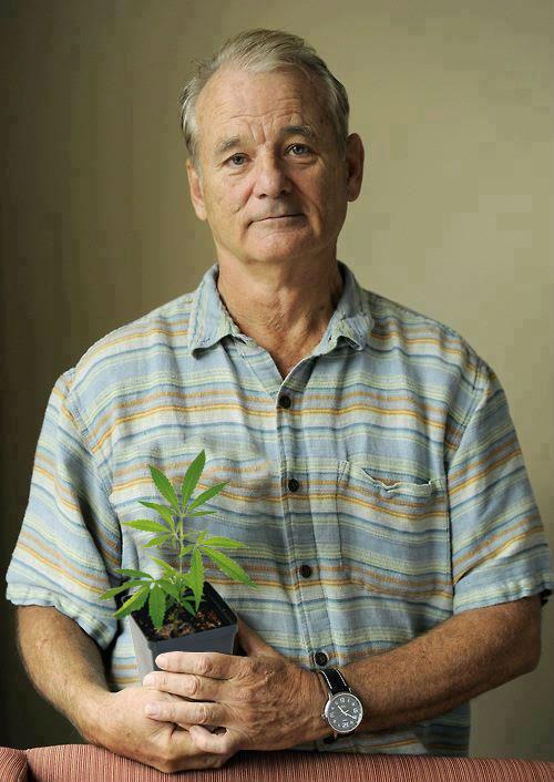 bill-murray-really-is-the-most-interesting-man-in-the-world-9