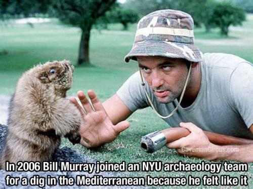 bill-murray-really-is-the-most-interesting-man-in-the-world-10