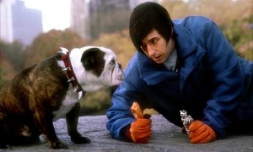 adam sandler and dog