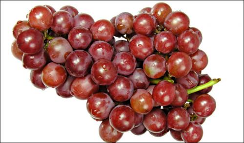 Red Grapes