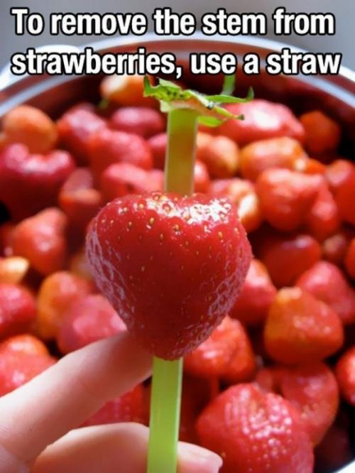 the-14-fruit-hacks-that-will-simplify-your-life-2