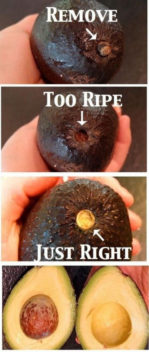 the-14-fruit-hacks-that-will-simplify-your-life-5