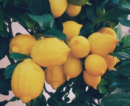 Lemons are one of the healthiest foods on earth