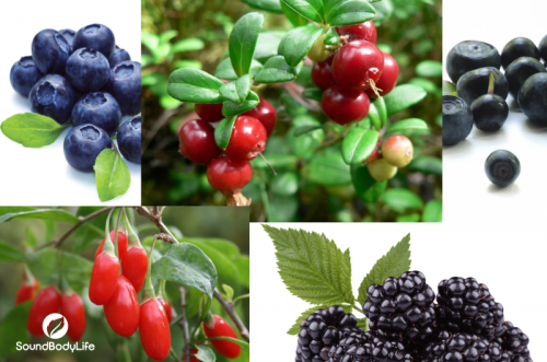 Top 50 Superfoods to Help You Live A Longer and Healthier Life_800_berries