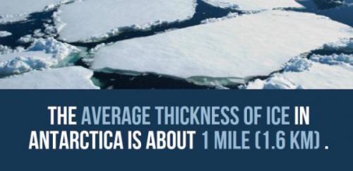 Antarctica-facts-8