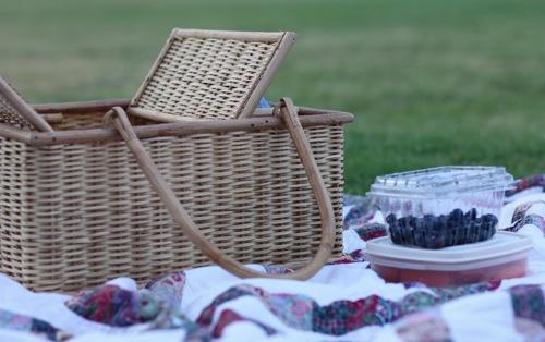 picnic